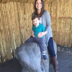 Riding an elephant at the zoo!